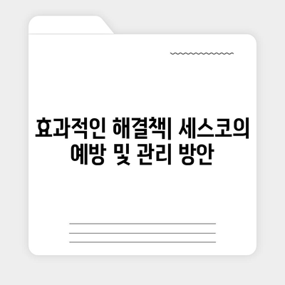 부산시 기장군 기장읍 세스코 가격 및 가정집 후기 총정리 | 원룸 신청 방법, 좀벌래 진단 및 해결책 2024