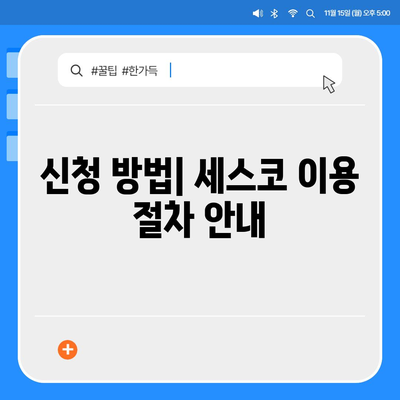 강원도 태백시 구문소동 세스코 가격과 가정집 후기 | 좀벌래 문제 해결, 신청 방법, 비용 정보 2024"