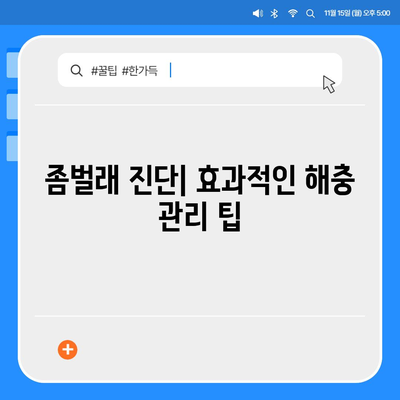 전라남도 담양군 대전면 세스코 가격 및 가정집 후기 | 비용, 신청 방법, 좀벌래 진단 2024