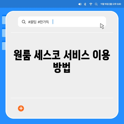 제주도 제주시 용담2동 세스코 가격 및 가정집 후기 총정리 | 원룸, 신청 방법, 좀벌래 해결책 2024