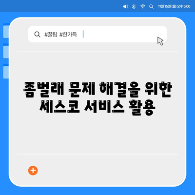 천호제1동 세스코 가격과 가정집 후기 총정리 | 비용, 신청, 진단, 좀벌래 해결방안 2024