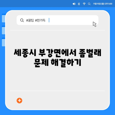 세종시 부강면 세스코 가격 및 가정집 후기 총정리 | 비용, 신청 방법, 좀벌래 해결 팁 2024