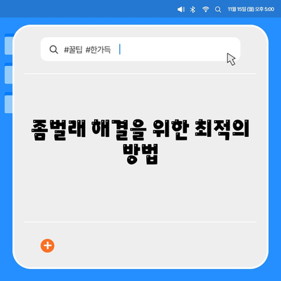 전라북도 진안군 백운면 세스코 비용 및 신청 방법 | 가정집 후기, 원룸 진단, 좀벌래 해결책 2024