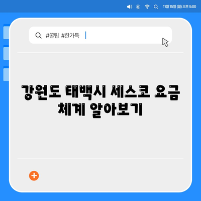 강원도 태백시 장성동 세스코 가격 | 비용과 가정집 후기, 신청 방법 및 좀벌래 해결책 2024