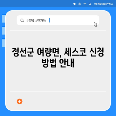 강원도 정선군 여량면 세스코 가격 및 가정집 후기 총정리 | 비용, 신청 방법, 진단, 좀벌래 해결책 2024