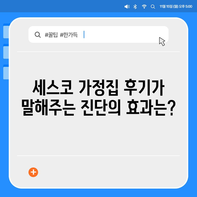 대전시 유성구 어은동 세스코 가격 및 가정집 후기 | 비용, 신청, 진단, 좀벌래 해결책 2024