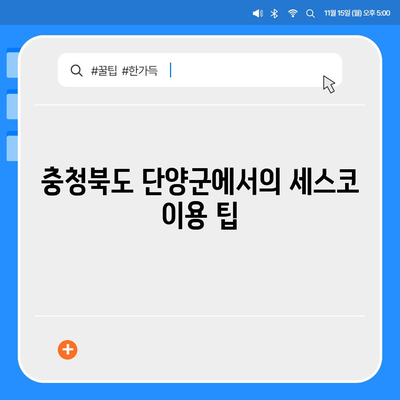 충청북도 단양군 적성면 세스코 가격 및 가정집 후기 총정리 | 비용, 신청 방법, 좀벌래 해결책 2024