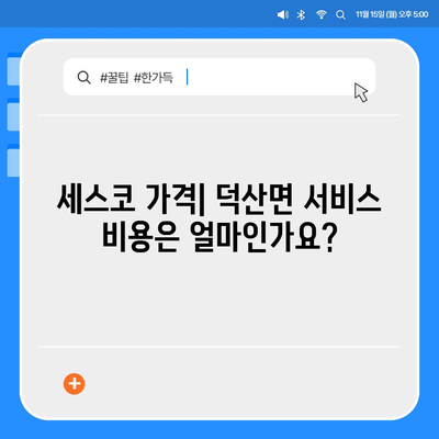 충청남도 예산군 덕산면 세스코 가격 및 가정집 후기 총정리 | 비용, 신청 방법, 좀벌래 해결 팁 2024