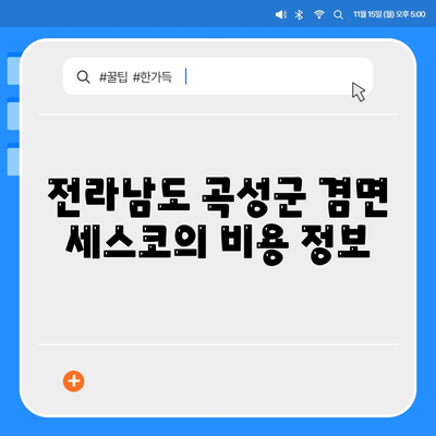 전라남도 곡성군 겸면 세스코 가격 및 가정집 후기 | 비용, 신청 방법, 좀벌래 해결 팁 2024