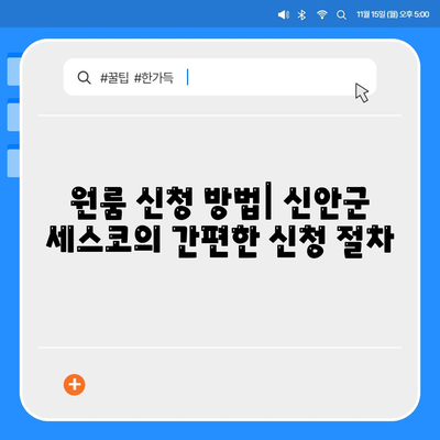 전라남도 신안군 신의면의 세스코 가격 및 서비스 가이드 | 비용, 가정집 후기, 원룸 신청 방법, 좀벌래 해결책, 2024