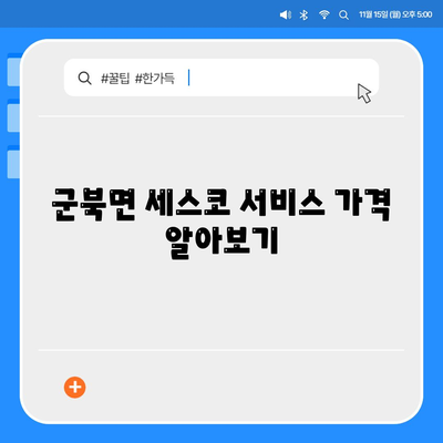 경상남도 함안군 군북면 세스코 가격 및 후기 가이드 | 세스코 신청, 진단, 좀벌래 해결 방법 2024