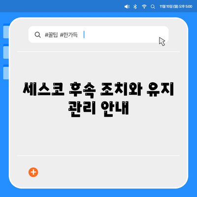 경기도 화성시 팔탄면 세스코 가격 및 비용 | 가정집 후기 | 원룸 신청 방법 | 진단과 좀벌레 해결 팁 2024 | 세스코 서비스, 후속 조치, 효과