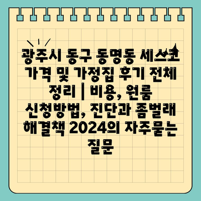 광주시 동구 동명동 세스코 가격 및 가정집 후기 전체 정리 | 비용, 원룸 신청방법, 진단과 좀벌래 해결책 2024