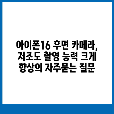 아이폰16 후면 카메라, 저조도 촬영 능력 크게 향상