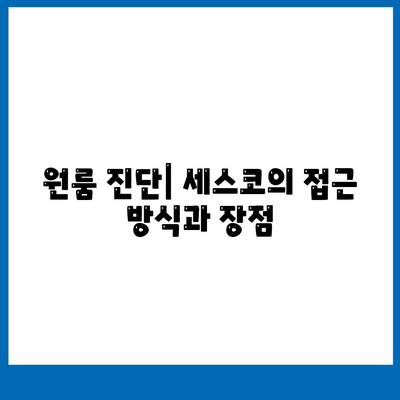 울산시 중구 다운동 세스코 가격 및 신청 방법 | 가정집 후기, 원룸 진단, 좀벌래 해결책 2024"