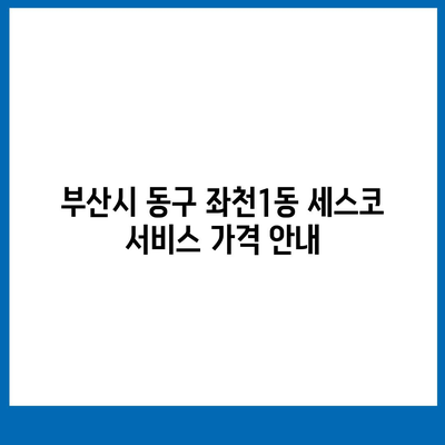 부산시 동구 좌천1동 세스코 가격 및 비용 안내 | 가정집 후기, 원룸 신청 방법, 좀벌래 해결 팁 2024