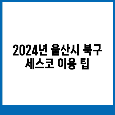 2024 울산시 북구 송정동 세스코 가격 및 서비스 이용 가이드 | 비용, 후기, 원룸, 가정집 진단, 좀벌래 문제 해결