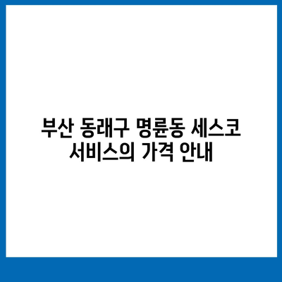 부산 동래구 명륜동 세스코 서비스 가격 및 후기 총정리 | 비용, 신청 방법, 가정집과 원룸 해결책 2024