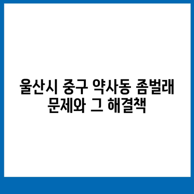 울산시 중구 약사동 세스코 가정집 좀벌래 진단 비용 및 후기 가이드 | 가격, 신청 방법, 원룸 관리 2024"