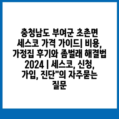 충청남도 부여군 초촌면 세스코 가격 가이드| 비용, 가정집 후기와 좀벌래 해결법 2024 | 세스코, 신청, 가입, 진단"