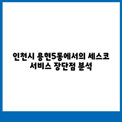 인천시 미추홀구 용현5동에서 세스코 서비스 비용과 후기 | 가격, 신청 방법, 좀벌래 제거 팁 2024