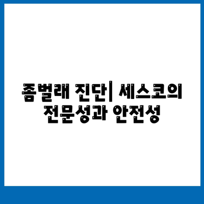 충청북도 옥천군 청산면 세스코 가격 및 비용 가이드 | 가정집 후기, 원룸 신청, 좀벌래 진단 2024"