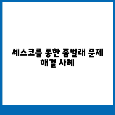 울산시 동구 남목3동 세스코 가격과 비용, 가정집 후기 및 원룸 신청 방법 알아보기 | 진단, 좀벌래 해결, 후기 2024