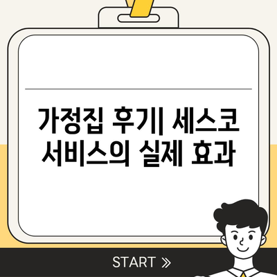 제주도 서귀포시 영천동 세스코 가격과 비용 | 가정집 후기 및 원룸 신청 방법 | 좀벌래 진단 및 가입 2024"