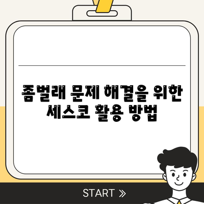 인천시 남동구 간석4동 세스코 가격 및 서비스 이용 가이드 | 비용, 가정집 후기, 원룸, 좀벌래 해결책 2024