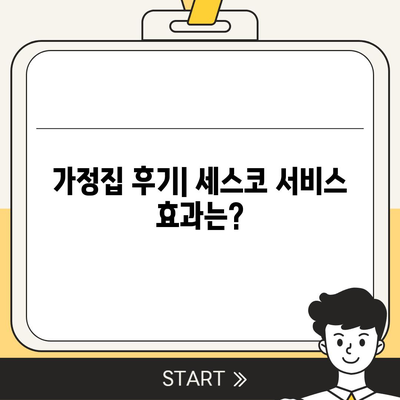 강원도 동해시 송정동 세스코 가격 및 가정집 후기 총정리 | 좀벌래, 가입 방법, 진단 서비스, 원룸 신청 2024