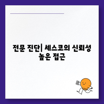 전라북도 무주군 안성면 세스코 가격 및 비용 가이드 | 가정집 후기, 원룸 신청 방법, 진단, 좀벌래 해결책 2024"