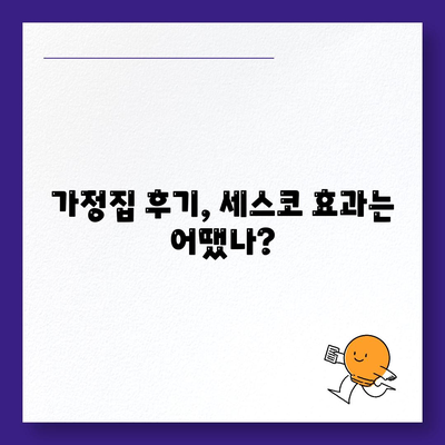 대전시 유성구 관평동 세스코 가격 및 가정집 후기 총정리 | 비용, 신청 방법, 좀벌래 문제 해결, 2024