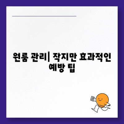 전라남도 여수시 남면 세스코 가격, 후기 및 가정집 신청 방법 총정리 | 비용, 원룸, 진단, 좀벌래 해결 팁 2024