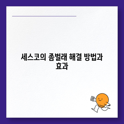 충청북도 보은군 마로면 세스코 가격 및 서비스 후기 | 좀벌래 해결, 신청 방법, 가정집 비용 2024