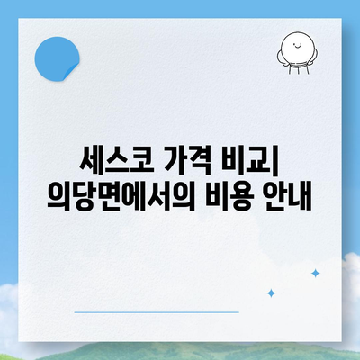 충청남도 공주시 의당면에서 알아보는 세스코 가격과 가정집 후기 | 비용, 원룸 신청, 진단, 좀벌레 해결 팁 2024