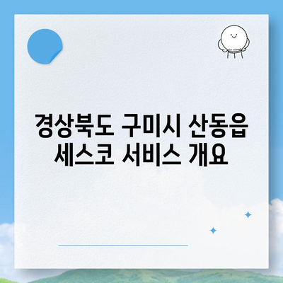 경상북도 구미시 산동읍 세스코 가격 및 서비스 가이드 | 비용, 가정집 후기, 좀벌래 해결책, 신청 방법 2024"