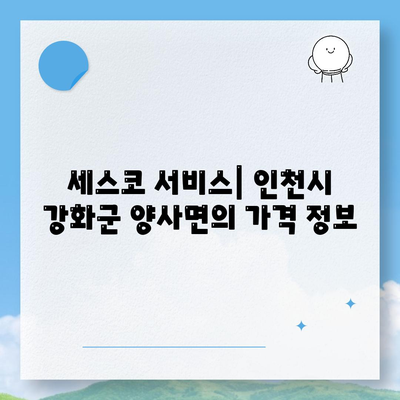 인천시 강화군 양사면 세스코 가격 및 가정집 후기 분석 | 비용, 신청, 가입, 집 좀벌래 진단 2024"