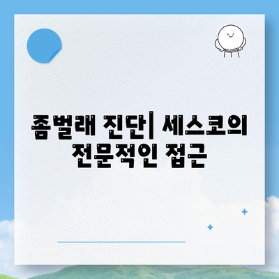 울산시 남구 선암동 세스코 가격 및 비용 탐구 | 가정집 후기, 원룸 신청 방법, 좀벌래 진단 2024