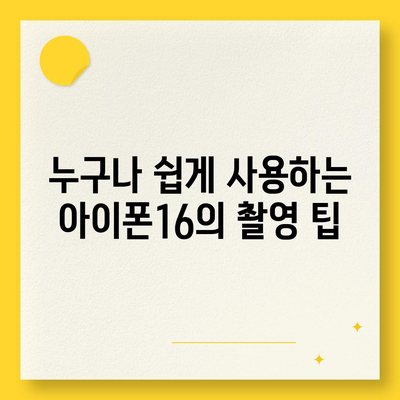 아이폰16 후면 카메라, 더 빠른 초점 속도로 결정적인 순간 포착