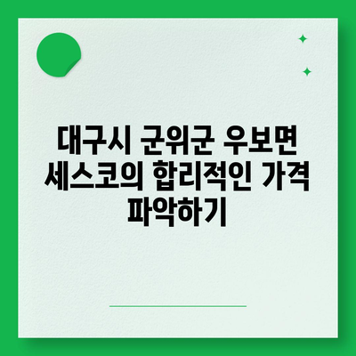 대구시 군위군 우보면 세스코 가격과 가정집 후기, 신청 방법 총정리 | 비용, 원룸, 진단, 좀벌래 2024