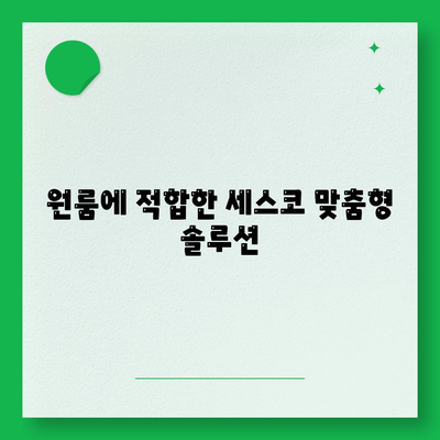 대구시 동구 효목1동 세스코 가정집 가격 및 후기 총정리 | 원룸, 신청 방법, 진단, 좀벌래 해결 2024