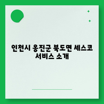 인천시 옹진군 북도면 세스코 가격 및 비용 안내 | 가정집 후기, 신청 방법, 좀벌래 해결책 2024