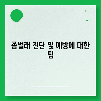 광주시 남구 봉선2동 세스코 가격 및 비용 안내 | 가정집 후기, 원룸 신청 방법, 좀벌래 진단 2024