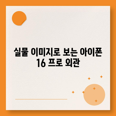 아이폰 16 프로의 디자인, 출시일, 실물 이미지