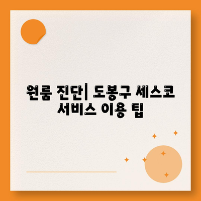 서울시 도봉구 쌍문4동 세스코 가격 및 가정집 후기 총정리 | 비용, 신청 방법, 좀벌래 해결법, 원룸 진단 2024