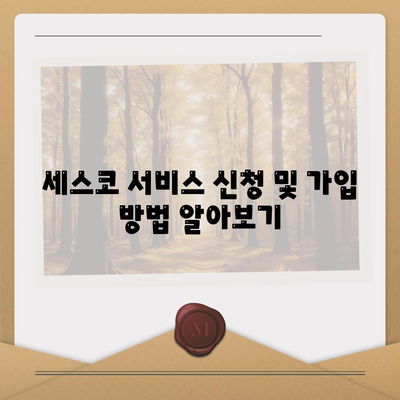 세스코 가격 및 서비스 가이드 2024 | 경기도 부천시 원미2동, 가정집 후기, 좀벌래 해결 방법, 신청 및 가입 정보