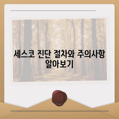 광주시 광산구 신가동 세스코 가격 및 신청 방법 | 비용, 가정집 후기, 원룸, 진단, 좀벌래 해결 2024