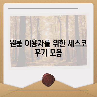 강원도 화천군 사내면 세스코 가격과 비용, 가정집 후기 총정리 | 신청 방법, 원룸 이용자 후기, 좀벌래 해결책 2024