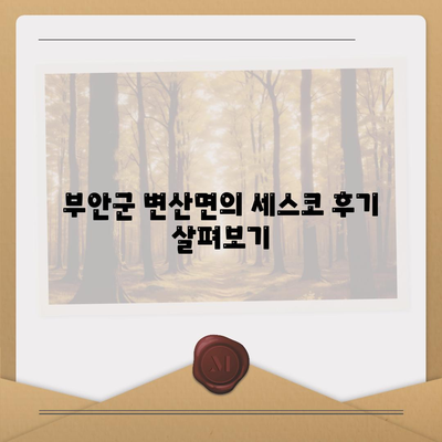 전라북도 부안군 변산면 세스코 가격 및 후기 총정리 | 가정집, 원룸 신청 방법과 좀벌래 대처법 2024