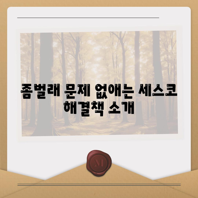 광주시 광산구 동곡동 세스코 가격 및 가입 방법 | 가정집 후기, 원룸 진단, 좀벌래 해결책 2024"